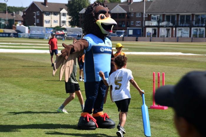 Summer Falcons Holiday Camp 2026 Roundup